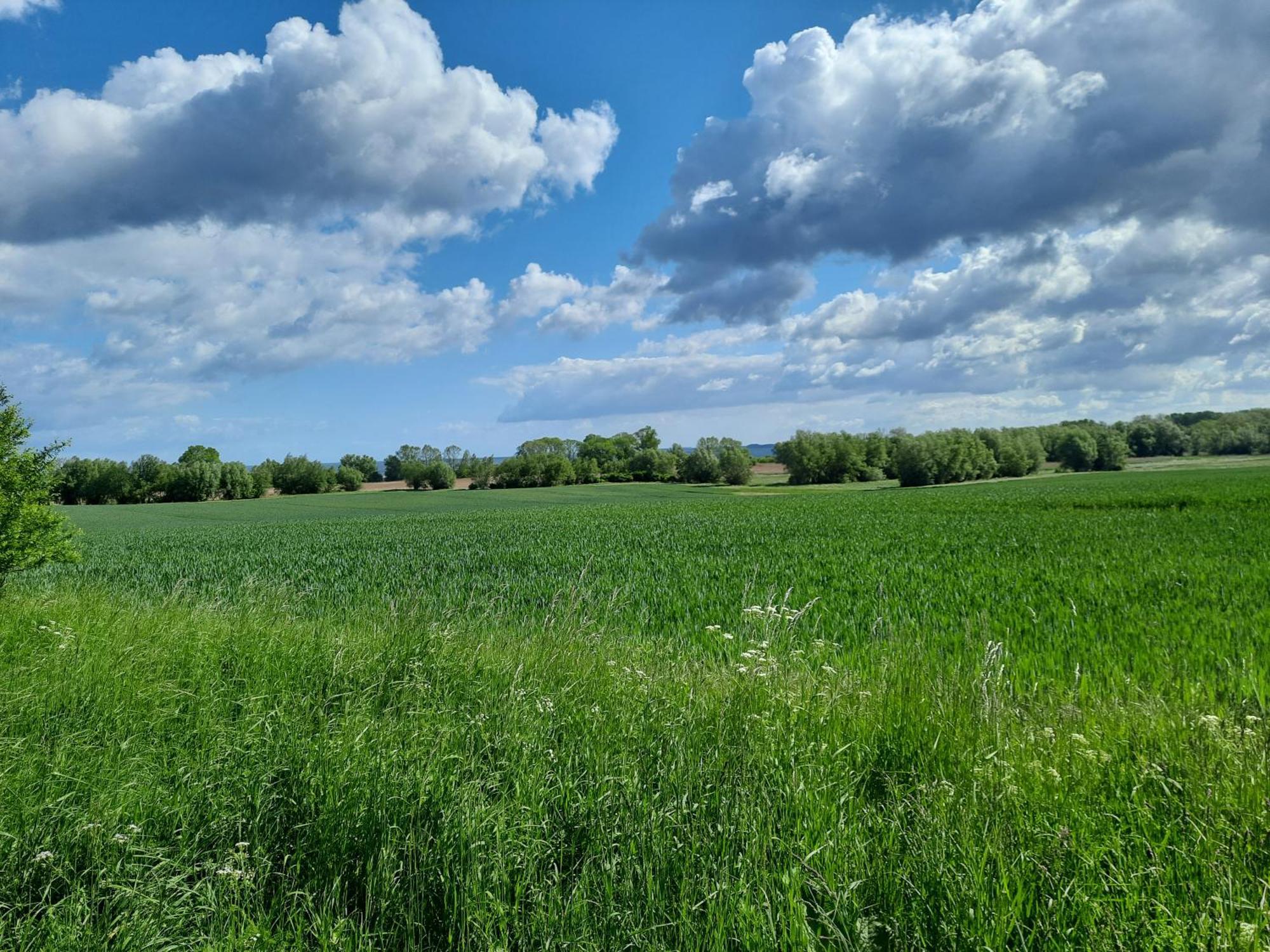 Landidylle Gasthof